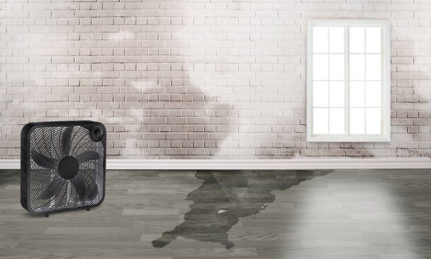 Best Commercial water damage restoration  in Mayflower, AR
