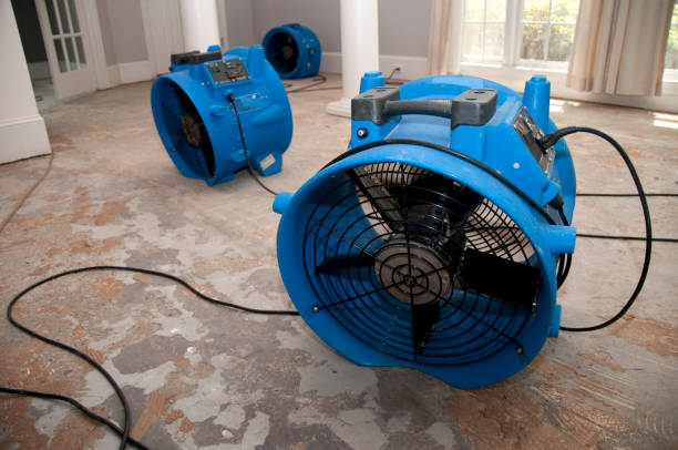 Best 24/7 water damage repair  in Mayflower, AR