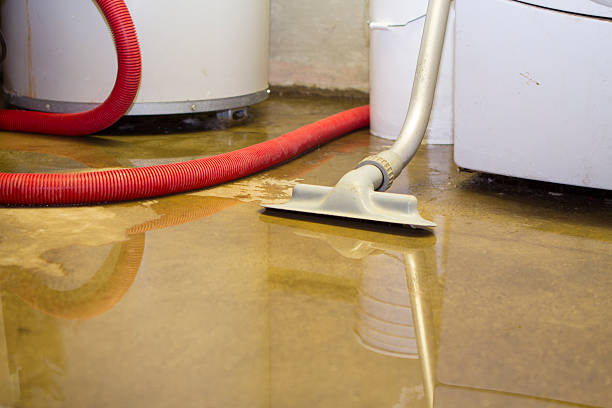 Best Flood restoration services  in Mayflower, AR