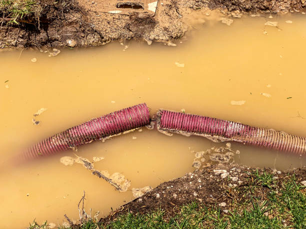 Best Residential water damage restoration  in Mayflower, AR
